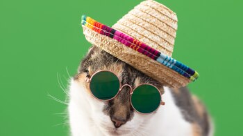 La mayoría de colombianos creen