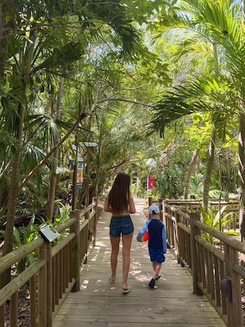 Vista trasera de dos niños, una niña y un niño, caminando por una pasarela de madera rodeada de densa vegetación tropical bajo el sol