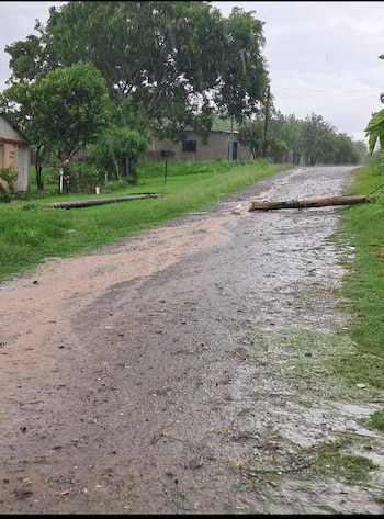 Cayeron más de 90 milímetros