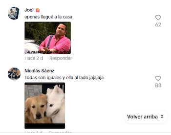 Muchos compartieron memes para ilustrar