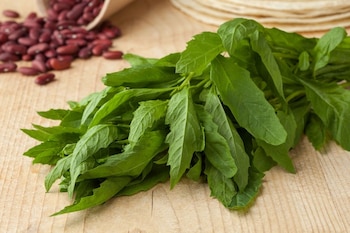 Utilizado desde la antigüedad en