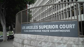 La petición se revisará el