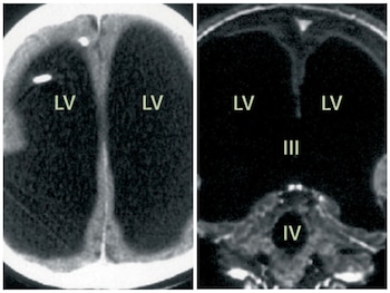 Imagen vista desde arriba /