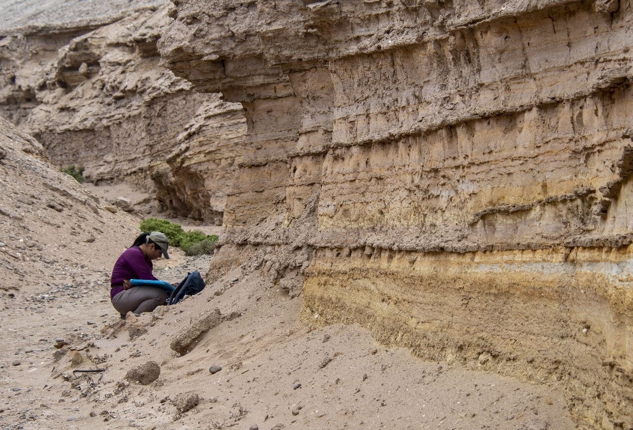 Los investigadores identificaron fósiles de peces de agua dulce y gaviales en los mismos sedimentos, lo que confirma la presencia de agua dulce en la zona