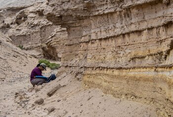 Un diente de capibara de 9 millones de años cuestiona la aridez histórica del desierto de Atacama