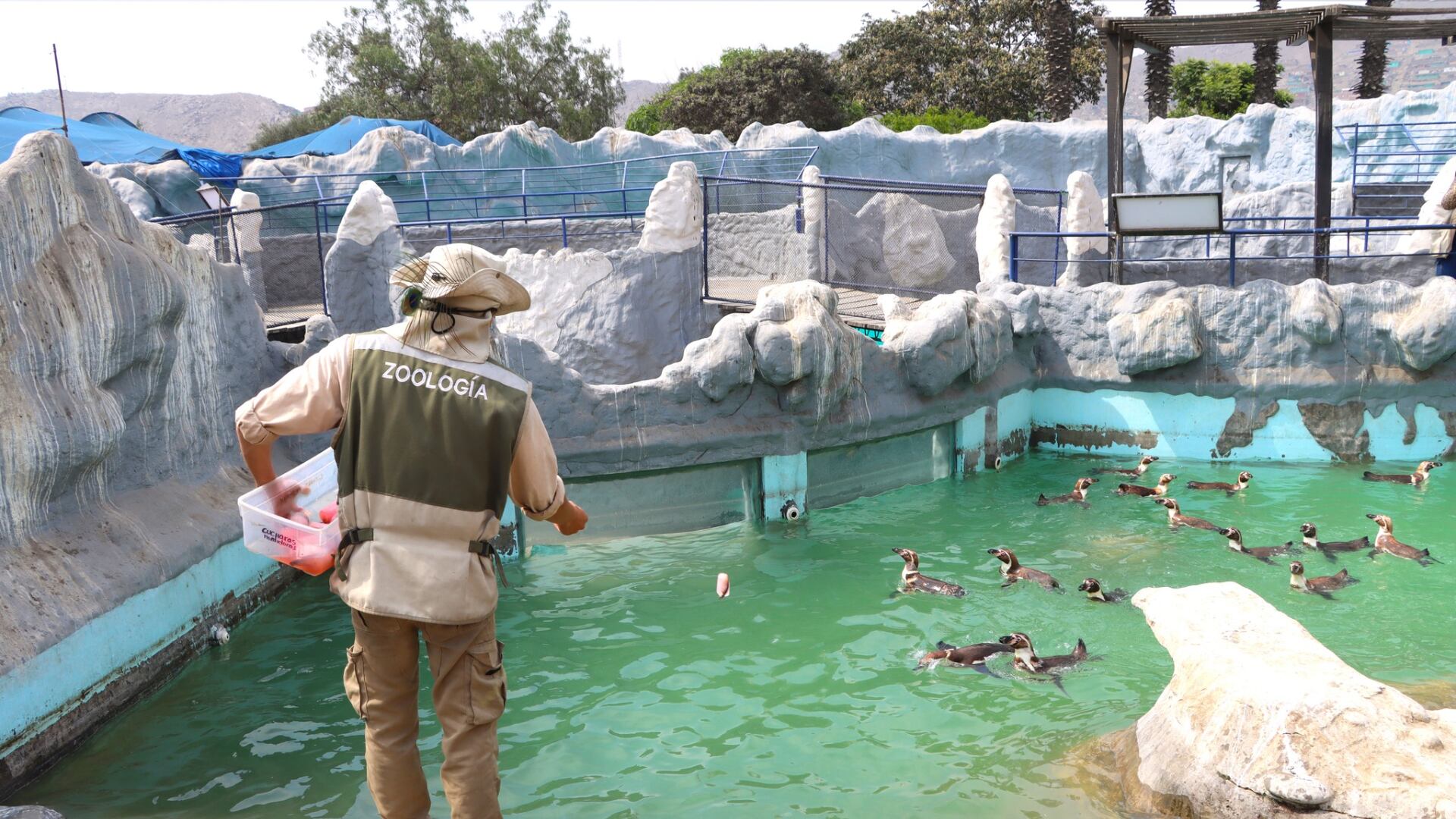 El parque, conocido por su rica biodiversidad, alberga diversas áreas temáticas que permiten a los visitantes explorar la riqueza natural y cultural del Perú.