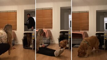 El día que llegó a