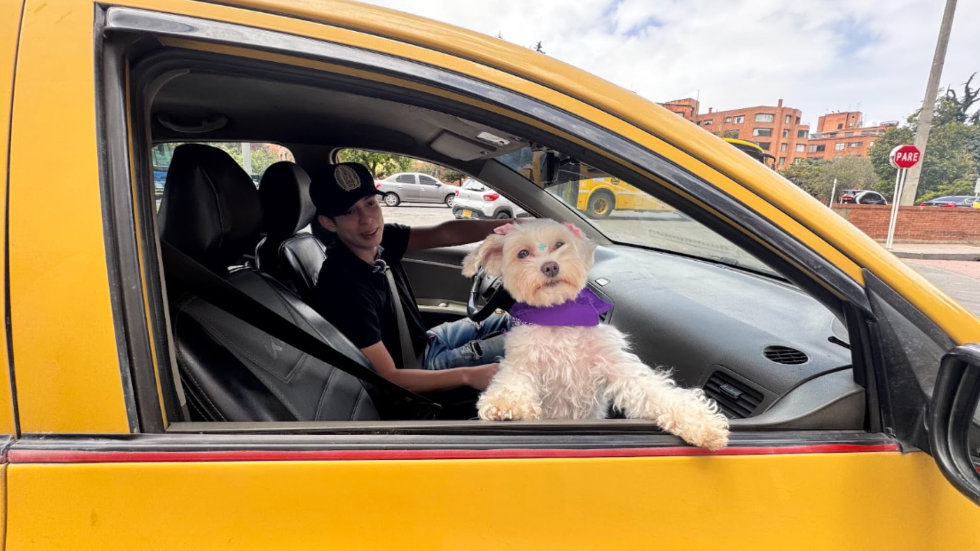 Los viajes con mascotas en Cabify se multiplicaron 2,5 veces en Bogotá durante el primer año del servicio. (Cabify)