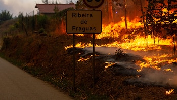 Persisten los devastadores incendios forestales