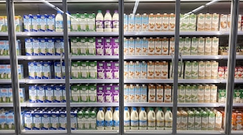 Un refrigerador de supermercado con puertas de cristal y múltiples estantes llenos de cartones y botellas de leche de vaca y bebidas vegetales de almendra, soja y avena.