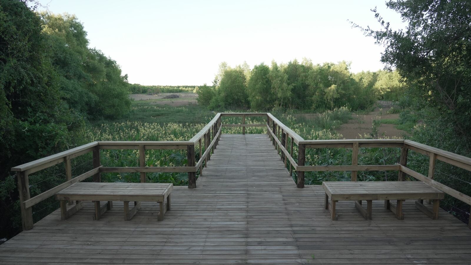 Las 350 hectáreas de la Reserva Ecológica Costanera Sur albergan más de 2.000 especies y reciben a más de 2 millones de vecinos, turistas y estudiantes por año