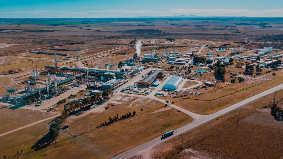 TGS refuerza su estructura ejecutiva y nombra a Jorge Vugdelija al frente de los grandes proyectos