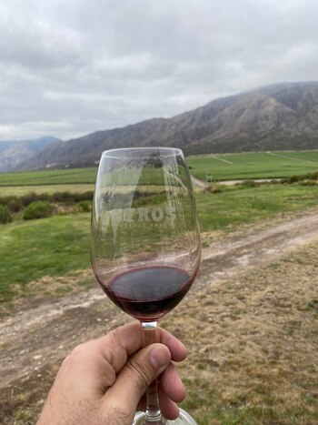 Pyros Appellation Syrah 2021 tiene