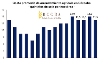 Bajan los alquileres en quintales, pero suben en dólares: cómo viene el mapa de arrendamientos agrícolas en Córdoba