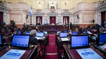 Sesion ordinaria remota del Senado de la Nacion
