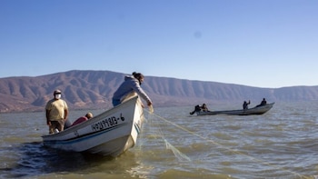 Bienpesca 2026: último día para recoger la tarjeta del Banco del Bienestar y asegurar el pago de 7 mil 500 pesos