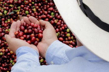 El incremento de los cobros