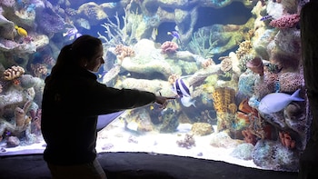 Día del Biólogo: cómo es