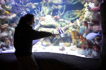 Julieta Jañez trabaja, investiga y