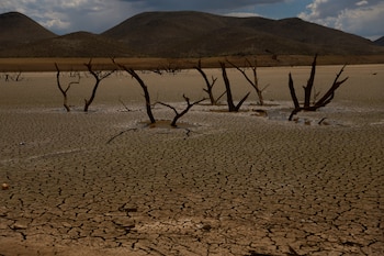 La sequía prolongada y el