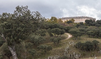 El bosque de Riofrío