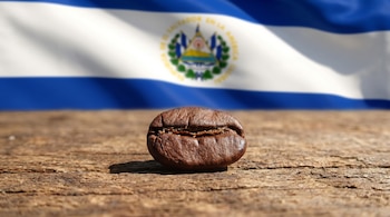 Primer plano de un grano de café tostado sobre una mesa de madera. Detrás, la bandera de El Salvador se ve borrosa con sus franjas azules y blancas y escudo.