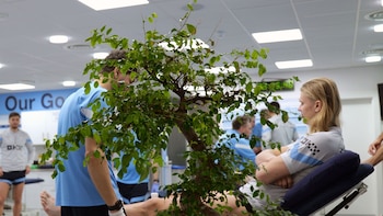 Haaland incorporó el bonsái como