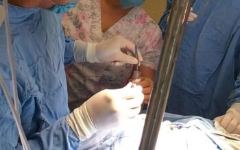 Imágen de archivo de trasplante