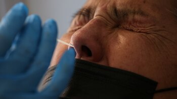 Deux mois après leur apparition