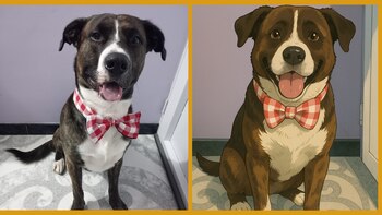 Crear un video al estilo