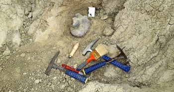 La reserva del Arroyo Toropí,