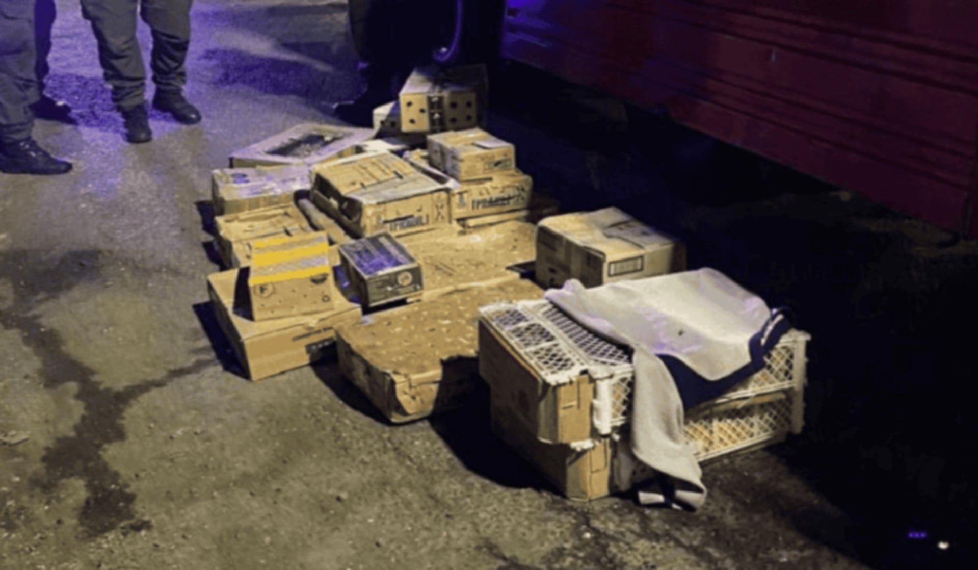 Oficiales inspeccionan las cajas y jaulas que contienen aves silvestres rescatadas de un camión durante un operativo en la Autopista Rosario-Santa Fe (Rosario3)