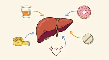 Ilustración plana de un hígado en rojo ladrillo central con iconos de vaso de alcohol, dona, cinta métrica, pastilla y corazón con presión alta, conectados por flechas.