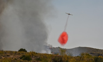 incendio en Los Gallardos (Almería)