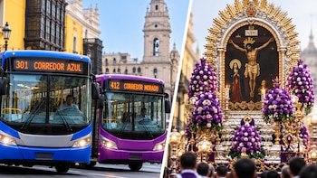 Corredor Azul y Morado cambian sus rutas este domingo 18 de octubre por la procesión del Señor de los Milagros: conoce los desvíos