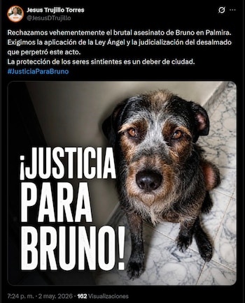 Las autoridades reiteraron el llamado a reportar hechos de maltrato animal y destacaron la importancia de la denuncia ciudadana para prevenir la impunidad - crédito @JesusDTrujillo / X