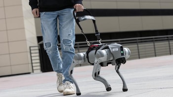 Así es el perro robot que ‘habla’ y guía a las personas con discapacidad visual