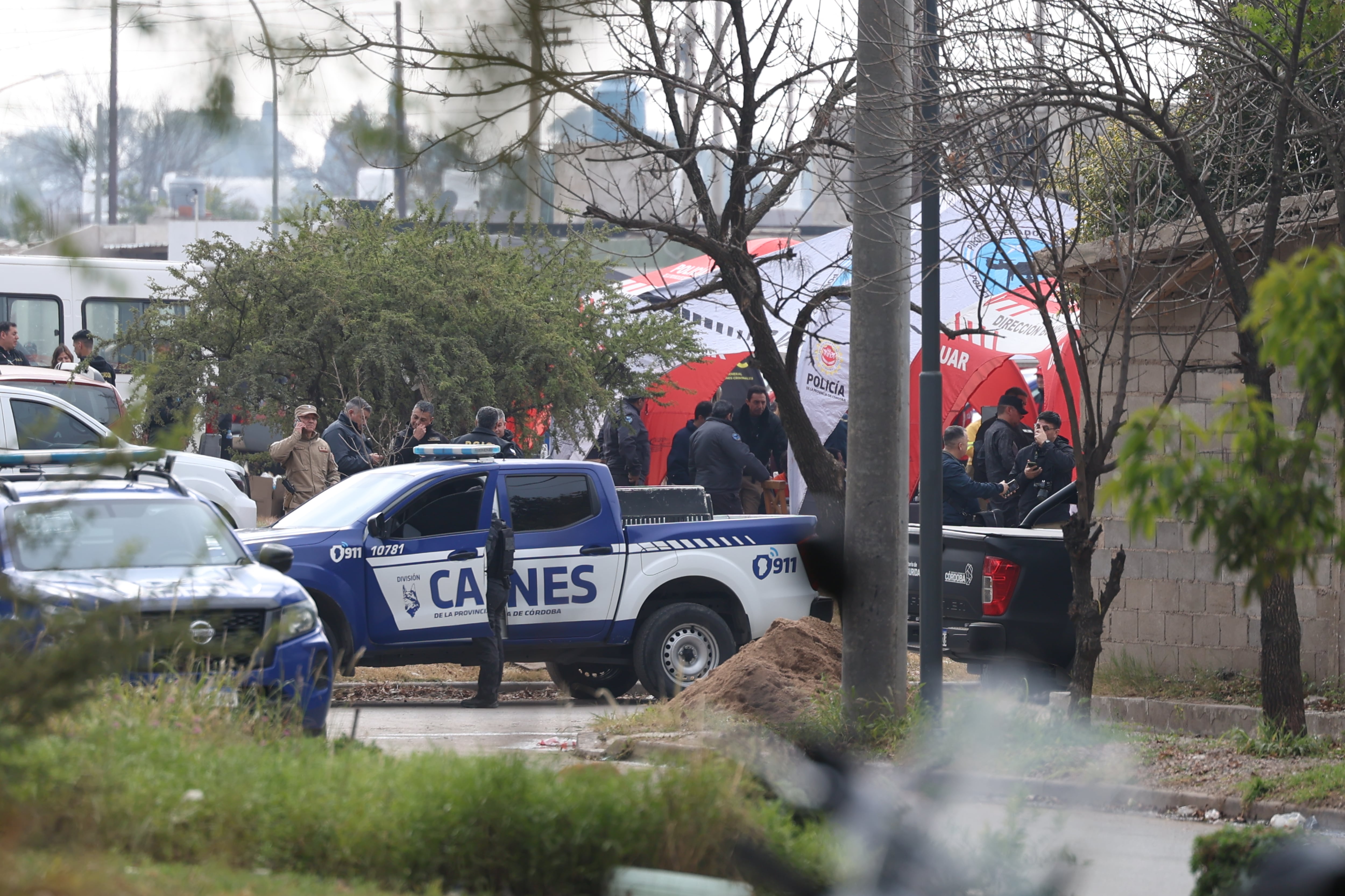 La División de Canes y la Duar en el rastrillaje. (Mario Sar)