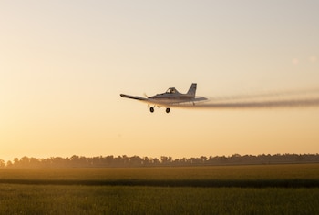 La idea habría sido propuesta