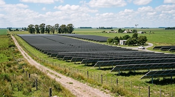Hileras de paneles solares instaladas en un terreno verde con un camino de tierra, un molino de viento y árboles al fondo.