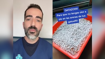 Consejos de un veterinario. (@pablo_vet/TikTok)