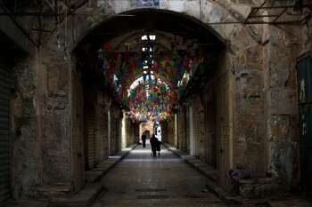 Amnistía Internacional reclamó hoy parar