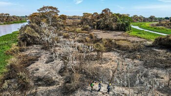 Fotografía cedida por SOS Pantanal