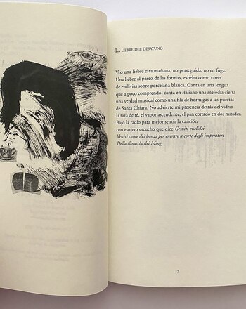 Una de las ilustraciones de