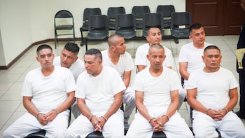 Dos ecuatorianos y seis mexicanos