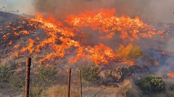 Atrapados por el fuego en pocos minutos: el incendio en Los Gallardos (Almería) sorprendió a las víctimas mientras buscaban una salida en coche o a pie