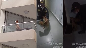 Perrito tenía la boca cerrada