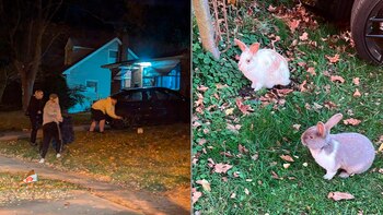 Luego de ser rescatados, los