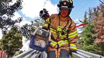 El equipo BRAE de los