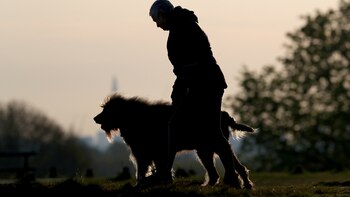 La materia fecal de los